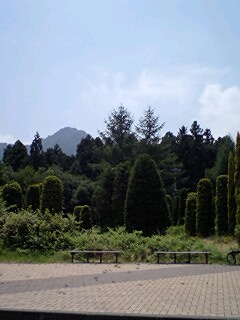 080713_1209~0001.jpg