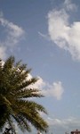090502_1638~0001.jpg